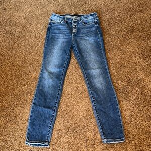 Judy Blue Skinny Fit